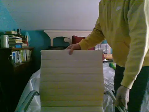 Prolapse Pig online show from 02-03-25, 06:17