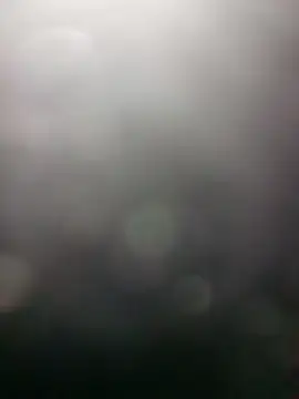 edubig23cm online show from 01-19-25, 08:39