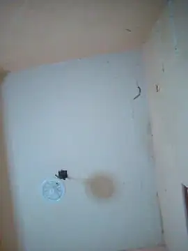 Snapshot of LuisMex1998 chatting on 11-14-25, 02:21 LuisMex1998 online show from 11-14-25, 02:21