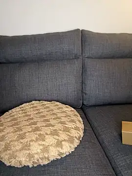 Lobna-alami online show from 02-11-25, 11:54