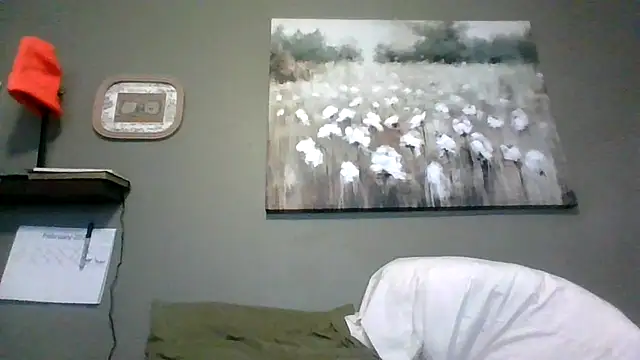 HarvryBlaze online show from 02-16-26, 12:29