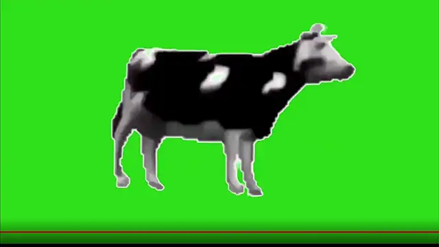 test FramedTishri m online show from 05-13-26, 03:20