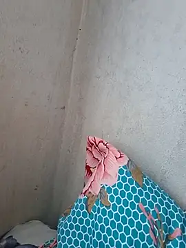 novinhatransexy online show from 11-03-25, 05:25