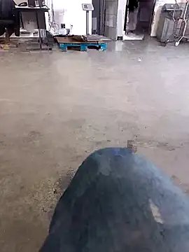 Snapshot of Trixboy201 chatting on 09-29-25, 07:19 Trixboy201 online show from 09-29-25, 07:19