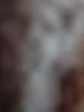 mhmia online show from 02-12-26, 03:51