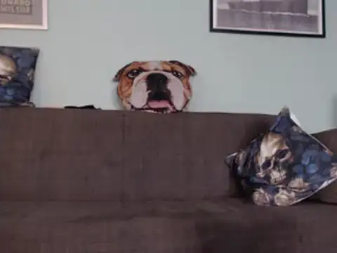 Snapshot of Astrid-Gilbert chatting on 02-05-25, 11:12 Astrid-Gilbert online show from 02-05-25, 11:12