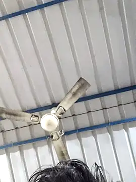 Snapshot of birds0641 chatting on 02-25-25, 05:52 birds0641 online show from 02-25-25, 05:52