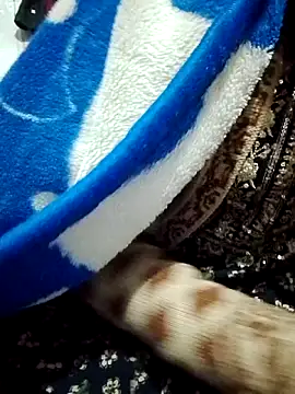 saaniya online show from 01-05-26, 07:17