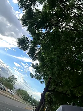 arevalo1124 online show from 11-26-25, 09:27