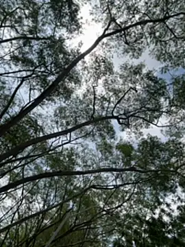 arevalo1124 online show from 12-18-25, 03:29