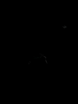 Codybugs0206 online show from 11-22-25, 11:59