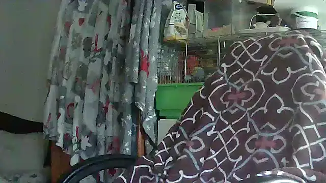 Snapshot of Cicamica12 chatting on 05-15-26, 04:25 Cicamica12 online show from 05-15-26, 04:25
