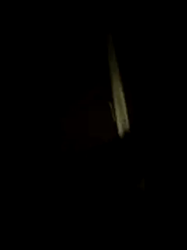 dominationmybigdick online show from 07-17-26, 10:47
