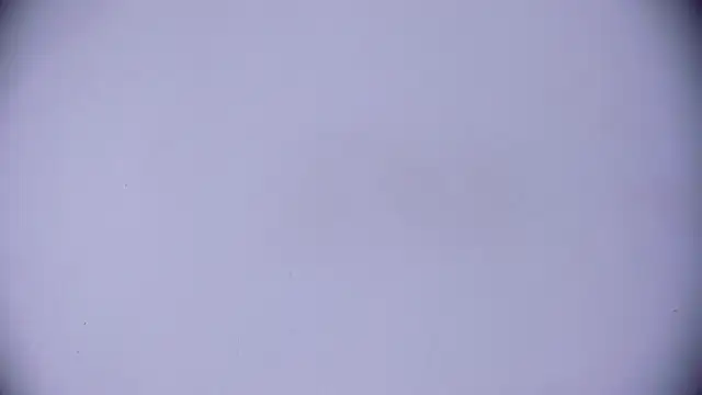 Ashlyaurora online show from 03-20-25, 07:58