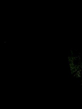 Snapshot of hintly chatting on 10-29-25, 11:12 hintly online show from 10-29-25, 11:12