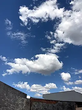 Mineirinho043 online show from 11-26-25, 06:20