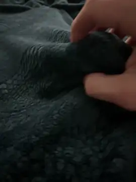 Snapshot of kishamis69 chatting on 02-13-25, 05:01 kishamis69 online show from 02-13-25, 05:01