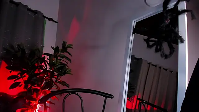 NovaaWheler online show from 10-20-25, 07:36