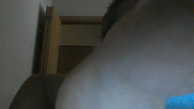 Snapshot of eccomi6996 chatting on 06-25-26, 08:52 eccomi6996 online show from 06-25-26, 08:52