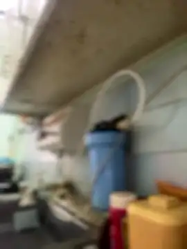 Carola-Ross online show from 01-06-26, 04:32