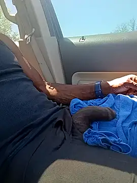 birdg online show from 04-16-26, 04:30