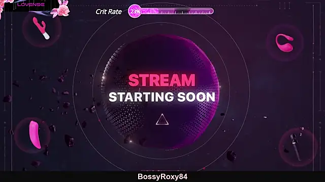 Snapshot of bossyroxy84 chatting on 02-28-25, 02:31 bossyroxy84 online show from 02-28-25, 02:31