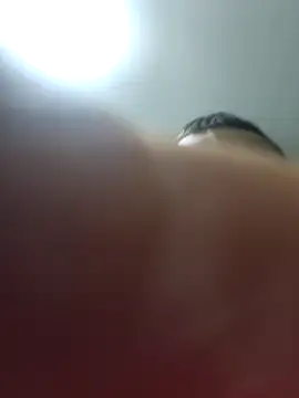 Snapshot of Pildorito19 chatting on 03-18-26, 03:04 Pildorito19 online show from 03-18-26, 03:04