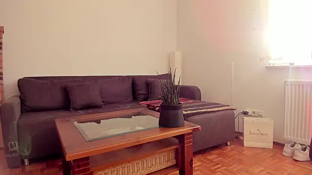 molicaremolicare online show from 11-06-25, 07:31