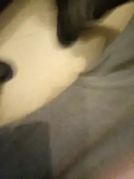 flo000031 online show from 01-14-26, 03:28