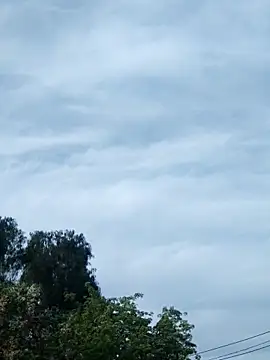 erinadarling79 online show from 10-16-25, 09:38