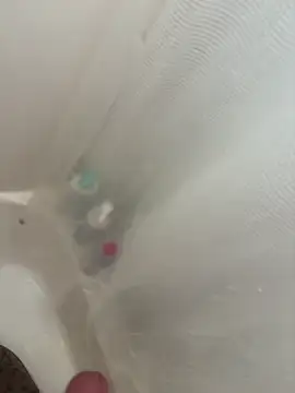 danyh2023 online show from 03-01-26, 04:09