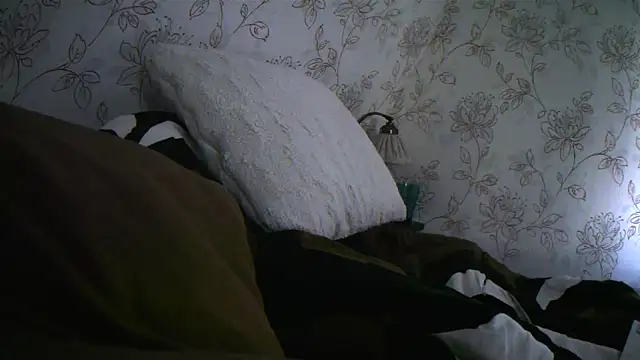 Snapshot of Teemu chatting on 09-27-25, 02:33 Teemu online show from 09-27-25, 02:33