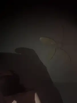 mylovebb online show from 01-06-26, 03:43