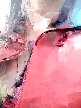 Snapshot of PPP_25 chatting on 11-01-25, 11:34 PPP 25 online show from 11-01-25, 11:34