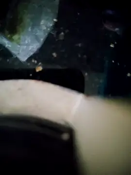 Loly2025 online show from 11-15-25, 06:15