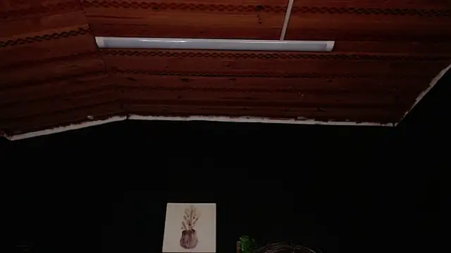 Snapshot of fyreandfox_ chatting on 11-18-25, 06:56 fyreandfox online show from 11-18-25, 06:56