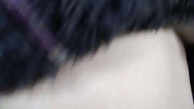 Snapshot of amy_royale chatting on 03-18-25, 05:31 amy royale online show from 03-18-25, 05:31