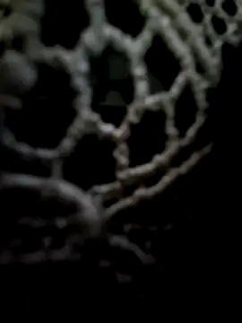 Snapshot of mauroxx08 chatting on 05-11-26, 02:34 mauroxx08 online show from 05-11-26, 02:34