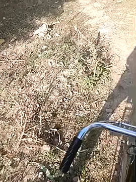 bairobunde online show from 02-07-26, 04:16