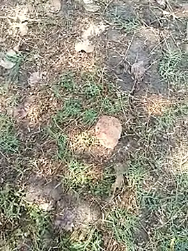 bairobunde online show from 04-05-26, 08:11