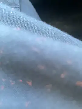 Snapshot of daniel21p chatting on 02-22-25, 03:25 daniel21p online show from 02-22-25, 03:25