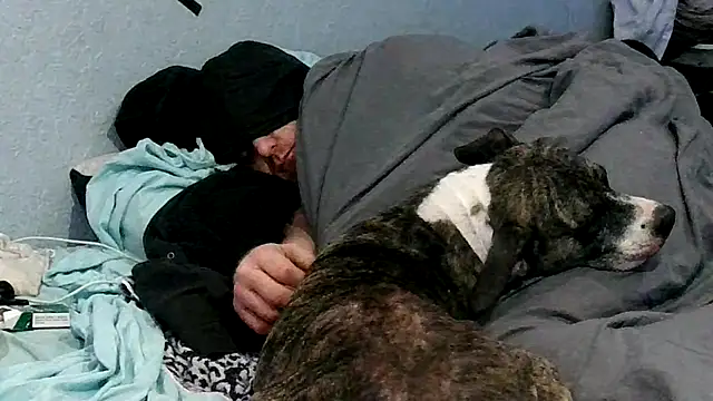 PornStro921 online show from 10-05-25, 06:39