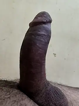 alkhabiir online show from 11-25-25, 06:08