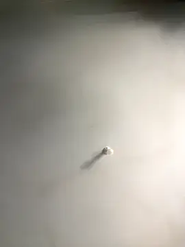 1Zoey101 online show from 12-18-25, 06:19