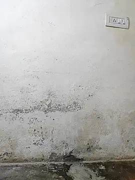 pallu telgu kannada online show from 03-04-26, 05:30