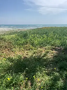 Smallcoco26 online show from 03-07-25, 09:40