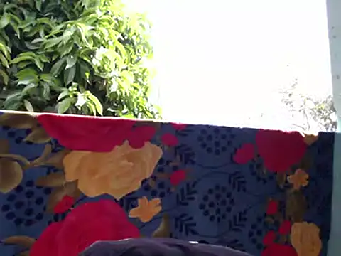 Ladyzee25 online show from 02-06-26, 03:04