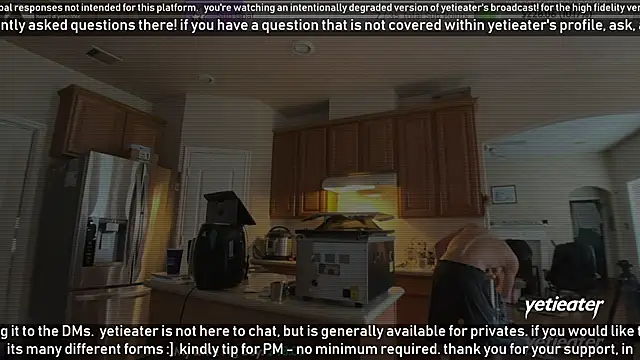 Snapshot of yetieater chatting on 02-09-25, 03:34 yetieater online show from 02-09-25, 03:34
