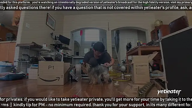 Snapshot of yetieater chatting on 02-13-25, 05:22 yetieater online show from 02-13-25, 05:22