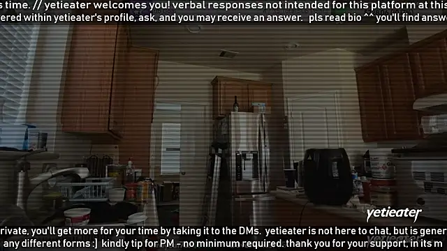Snapshot of yetieater chatting on 07-24-26, 02:37 yetieater online show from 07-24-26, 02:37